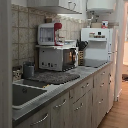 شقة Les Flots Bleus Face A L Ocean نوتر دام دي مونتس